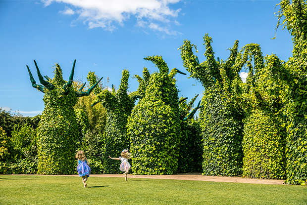 Hamilton Gardens