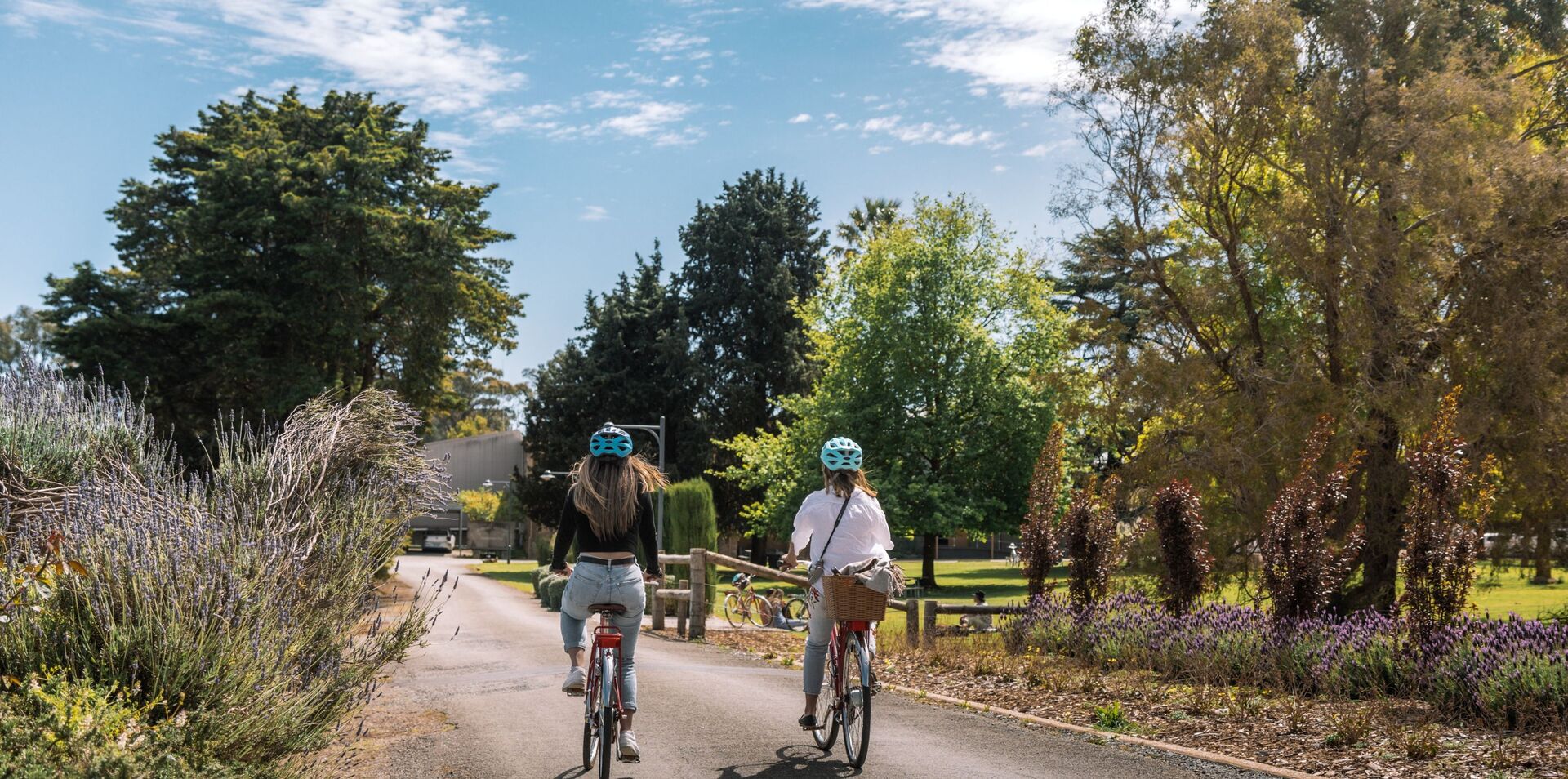 Cycle South Australia's Wine Regions