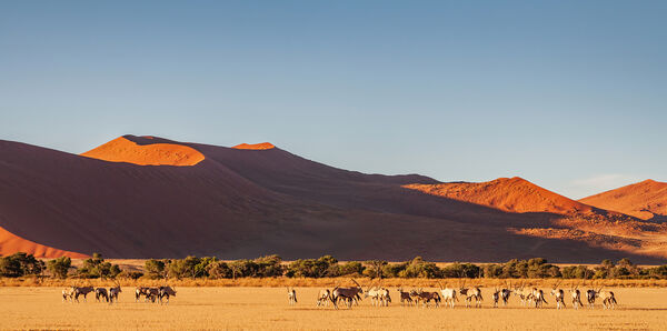 Sossusvlei red sand dunes in Namibia