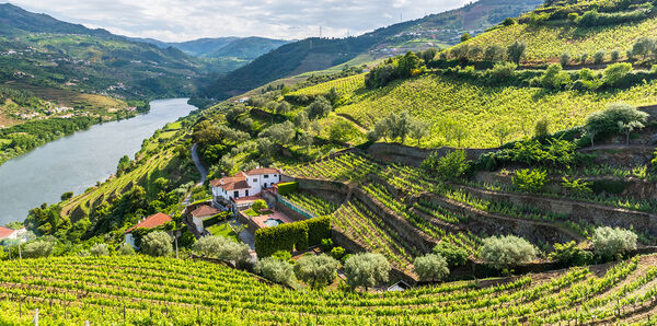 Douro River Portugal 