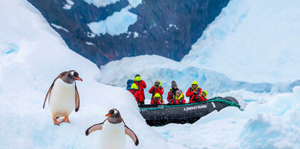 Penguins