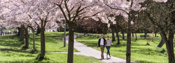 Gardens of New Zealand